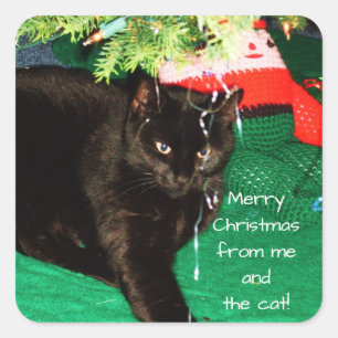 FELIZ NATAL das etiquetas do CAT