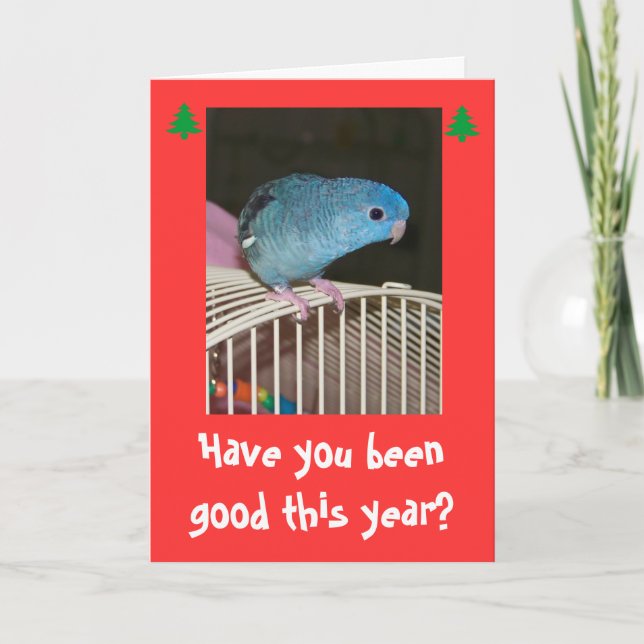 Feliz Natal do cartão de Poopy dos feriados do (Frente)