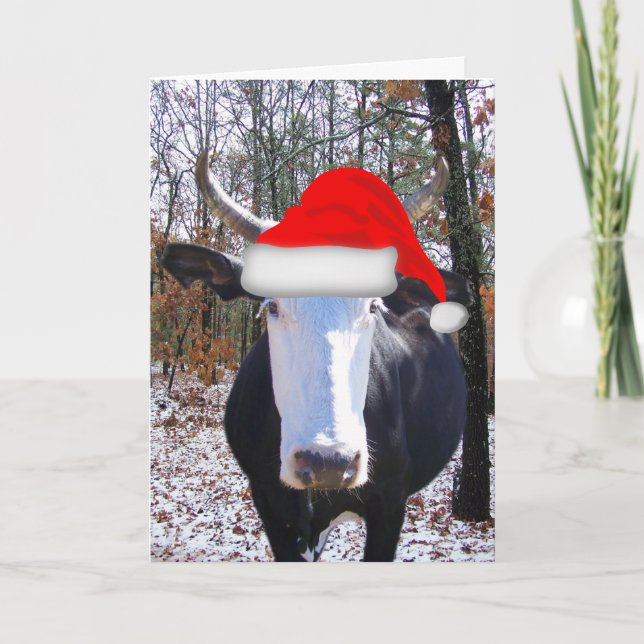 Feliz Natal do Cartão Engraçado de Vaca Heifer (Frente)