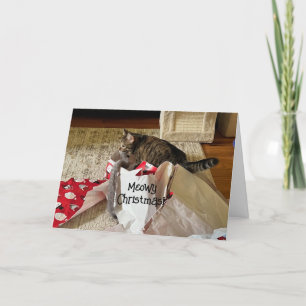 Feliz Natal Gato, aproveitando os cartões personal