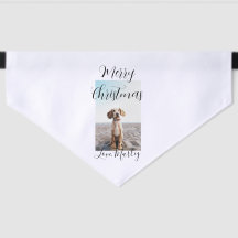 Feliz Natal gato de estimação presentes de Natal