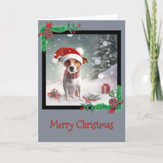 Feliz Natal Jack Russell Terrier - Cartão de Sauda