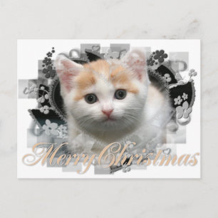 Feliz Natal Kitten - Cartões postais de Natal