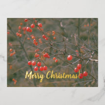 Feliz Natal Red Berries Foto Festiva