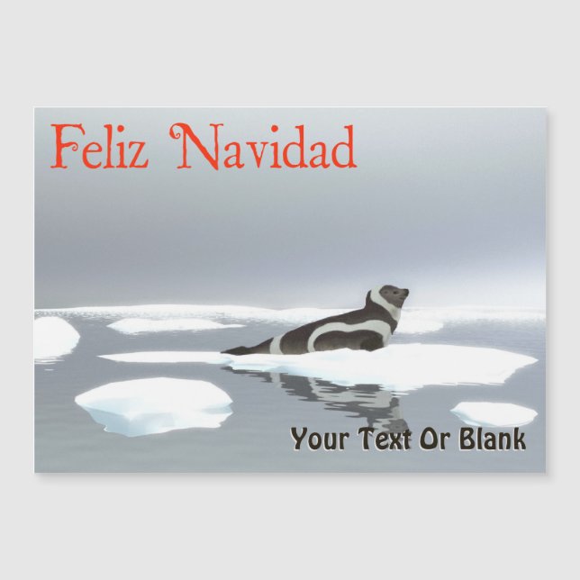 Feliz Navidad - Foco de Fita (Frente)