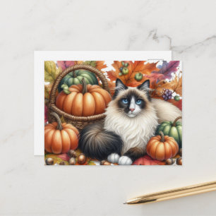 Feliz outono gato Ragdoll cartão postal de outono