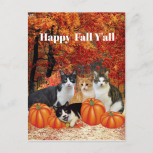 Feliz Outono para Todos Gatos e Cartão Postal de A