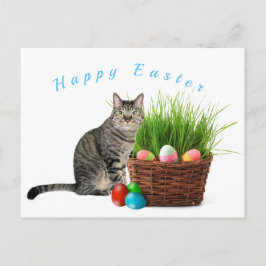 Feliz Páscoa do cartão postal do seu gato