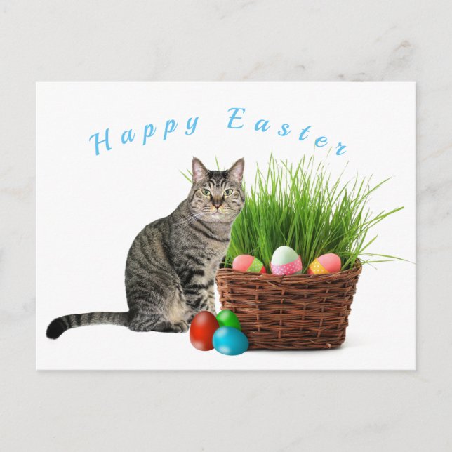 Feliz Páscoa do cartão postal do seu gato (Frente)