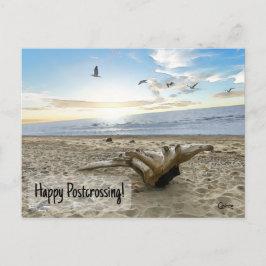 Feliz Pós-Travessia da Praia - Cartão Postal