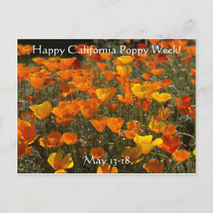 Feliz Semana da Poppy California! Cartão Postal