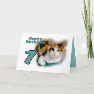Feliz Sétimo Aniversário - Cartão de Gato Calico