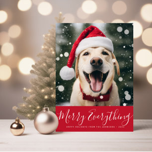 feliz tudo cartão postal de férias para animais do