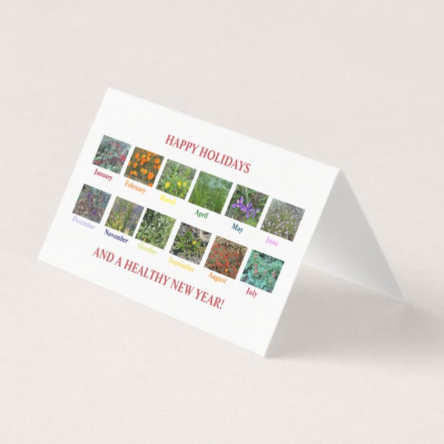 FELIZES FÉRIAS E UM NOVO ANO SAUDÁVEL! (Frente)