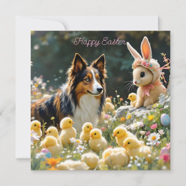 Felz pascoa Collie e Pintinhos Magnet (Frente)
