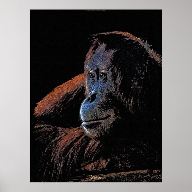 Female Orangutan Excelente Ape Wildlife Poster (Frente)
