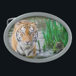 Fenda do cinto, para venda!<br><div class="desc">Todo mundo vai adorar o gelo desta legal fivela de 😎 de tigre 🐯.</div>