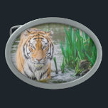 Fenda do cinto, para venda!<br><div class="desc">Todo mundo vai adorar o gelo desta legal fivela de 😎 de tigre 🐯.</div>
