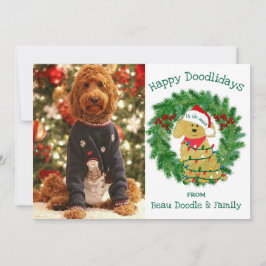 Feriado de Goldendoodle com Luzes de Natal Persona