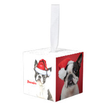 Feriado de Natal do Boston Terrier Dog Dois