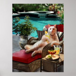 Férias de luxo, Poster de Gato de Pet Engraçado