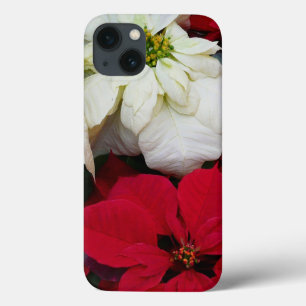 Férias de Natal White e Red Poinsettias II