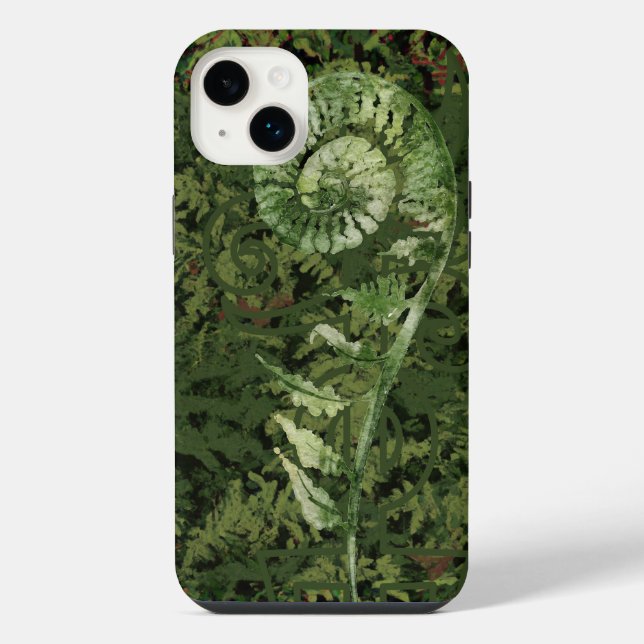 Fern (Verso)