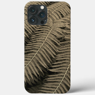 Fern deixa fotografia de arte fina na Sepia