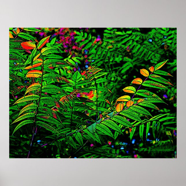 Fern deixa Impressão (Frente)