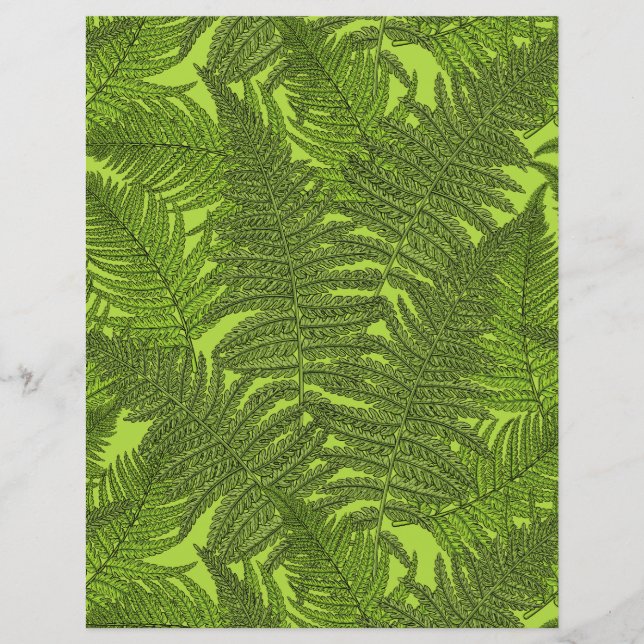 Fern em verde (Frente)