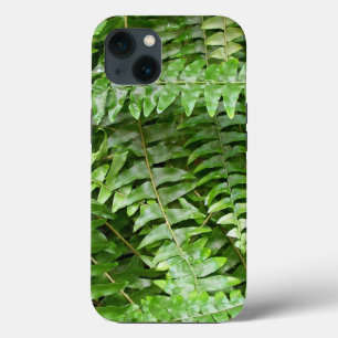Fern Frontes I Green Nature