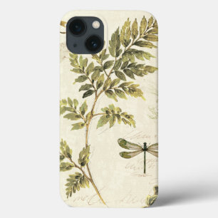 Ferns Decorativos e uma Dragonfly