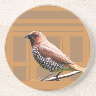 Ferramentas de Barware e Bar > Porta copos