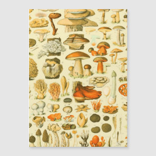 Ferramentas de Vintagem de Cogumelo Arte Botânica