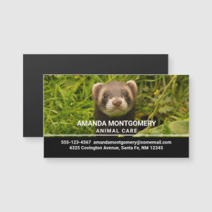 Ferret castanho na foto da grama