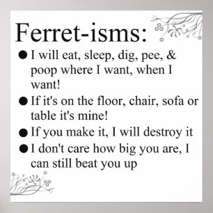 Ferret-isms & Sayings Impressão