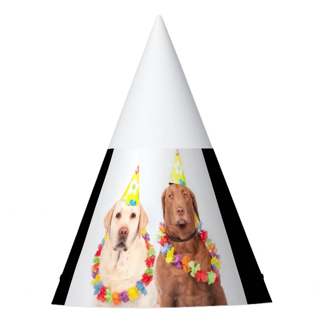 Festa Chapéu de festa, à venda! (Frente)