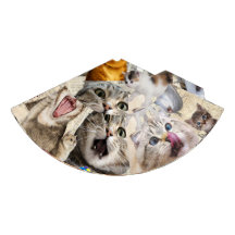 Colagem de Gatos / Montagem de Gatos em Chapéu de 