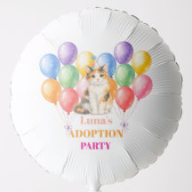 Festa de Adoção Dia da Captura Gato Tricolor Pet