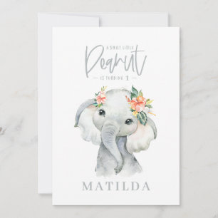 festa de aniversário de menina elefante de água
