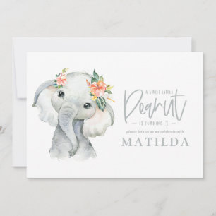 festa de aniversário de menina elefante de água