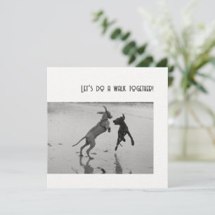 Festa de Cachorro ou Pawty