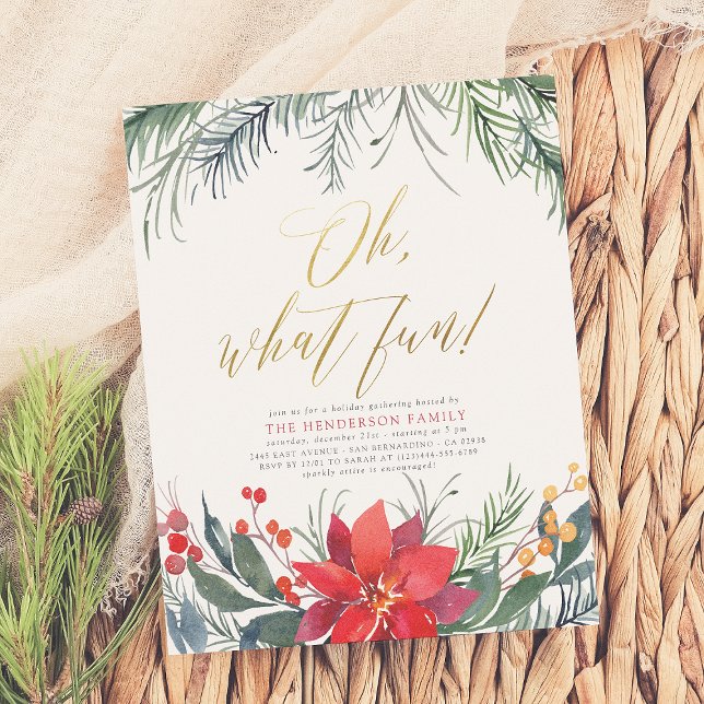 Festa de Natal do orçamento do inverno Férias de N (Criador carregado)