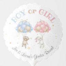 Festa de Revelação do Sexo do Bear & Bunny