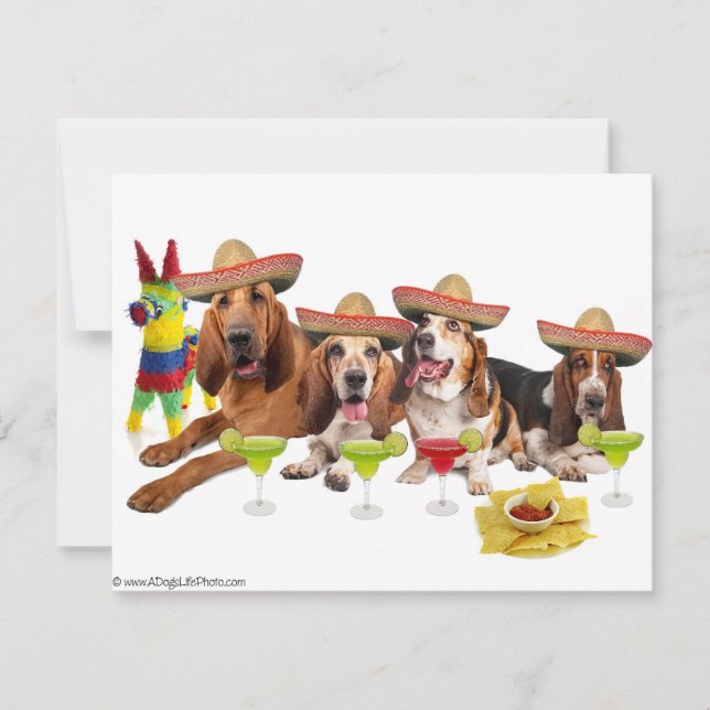 Festa Mexicana (Frente)