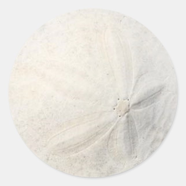 Festa na Praia da Moeda de Areia Adesivo Redondo (Frente)