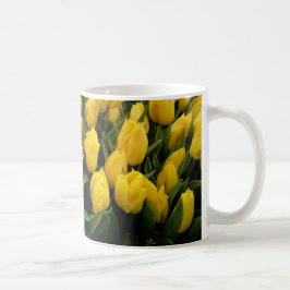 Festival da tulipa - 27 canecas