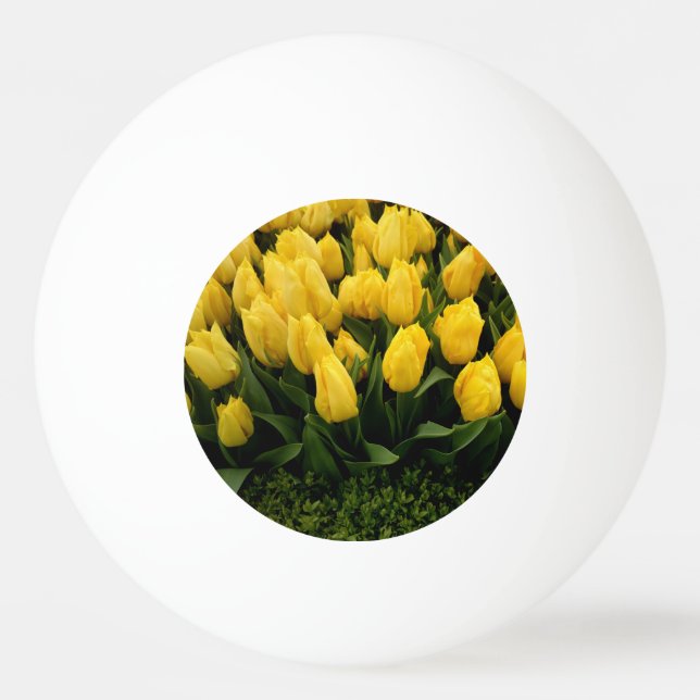 Festival da tulipa - bola de Pong de 27 sibilos (Frente)