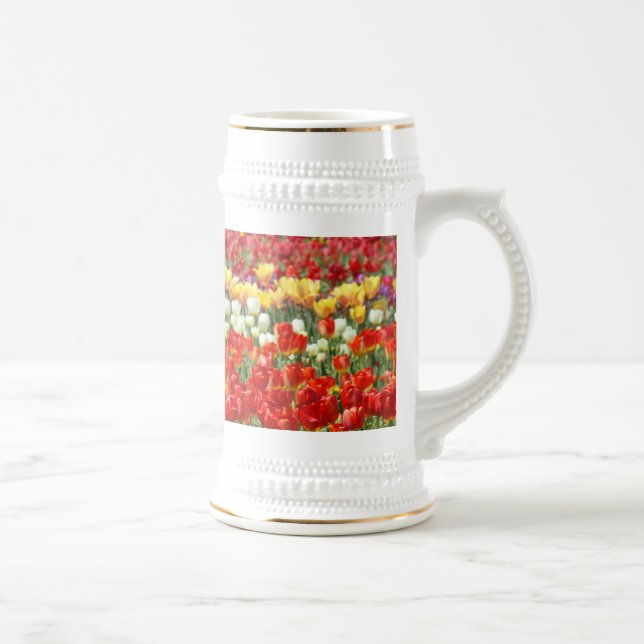 Festival de Tulipas Stein Flores Campo Steins (Direita)