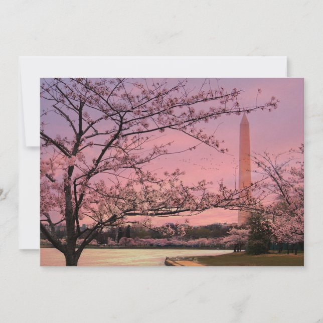 Festival do Blossom de Cereja do Monumento de Wash (Frente)